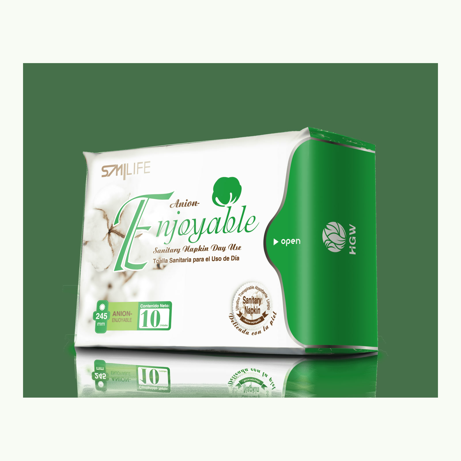 Producto y presentación: Toallas Higiénicas Día HGW